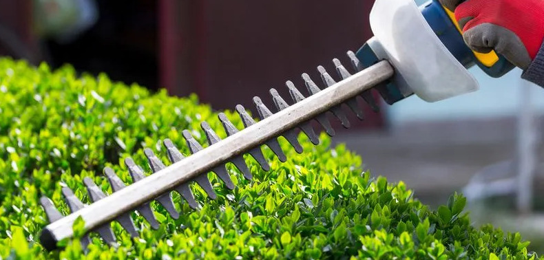 Hedge Trimming